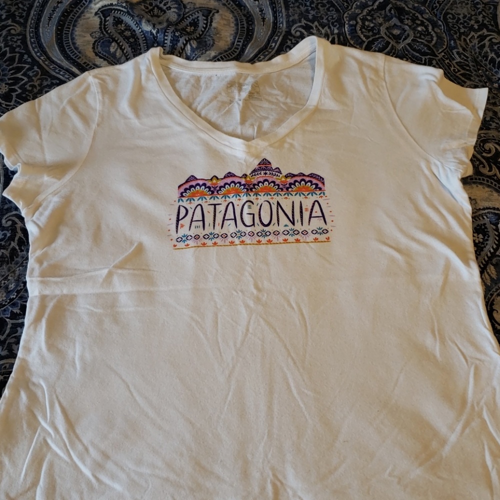 Padagonia t-shirt